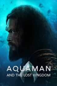 Aquaman 2