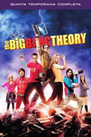 Big Bang: Temporada 5