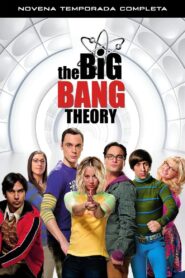 Big Bang: Temporada 9
